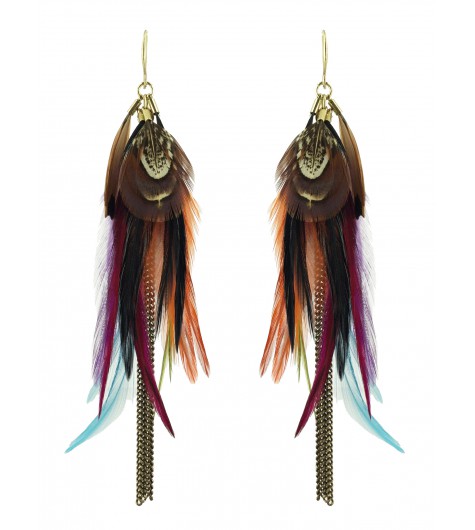 Earrings - Feathers and thin chains.