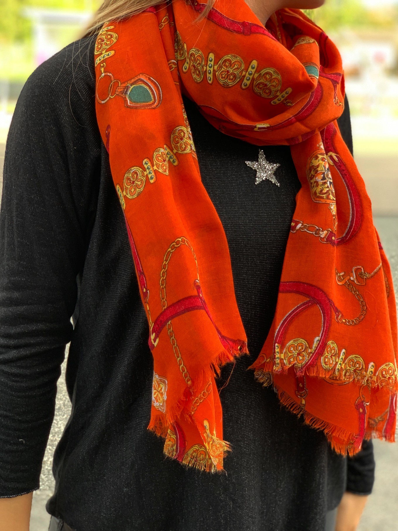 Foulard licols et harnais