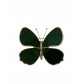 Broche - Mini papillons avec strass